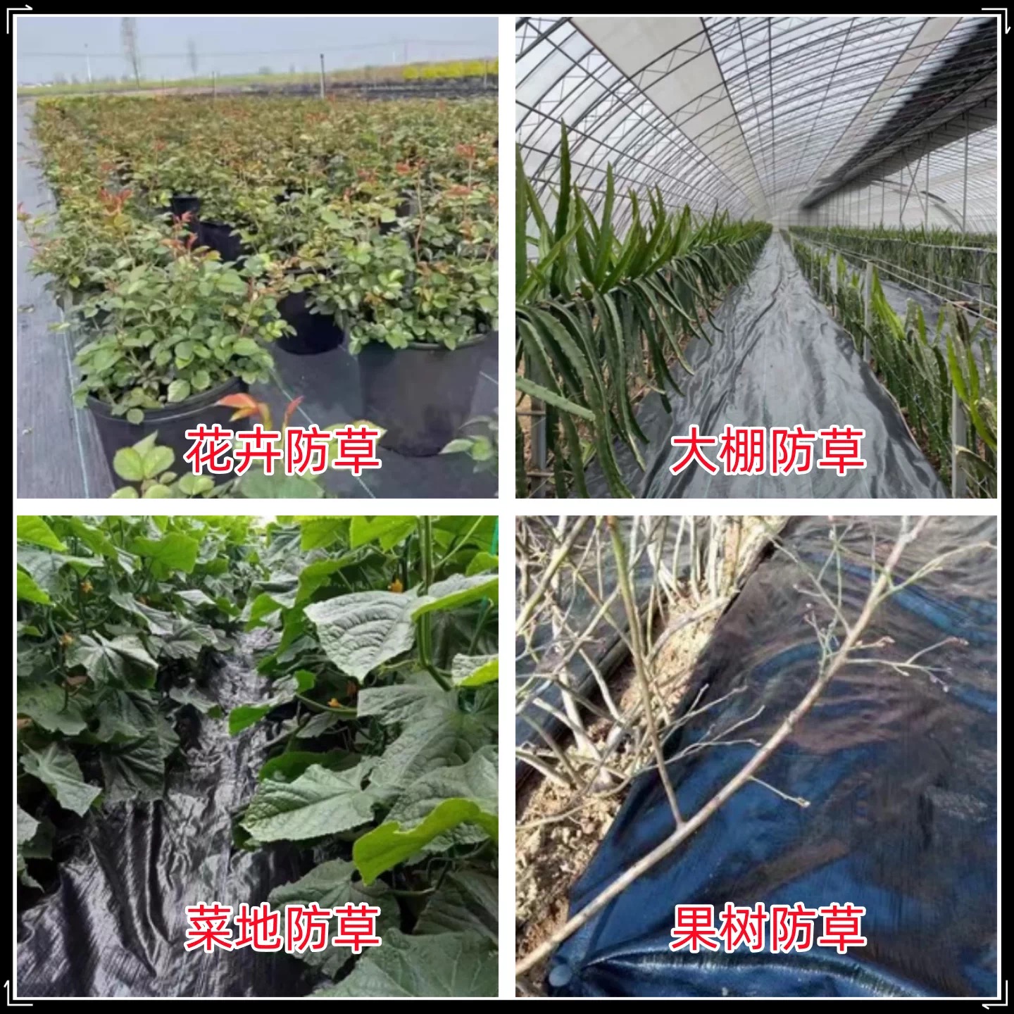 三沙市果树反光膜防草布 - 排名